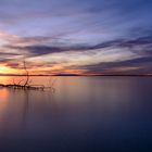 Der Baumstamm im Chiemsee