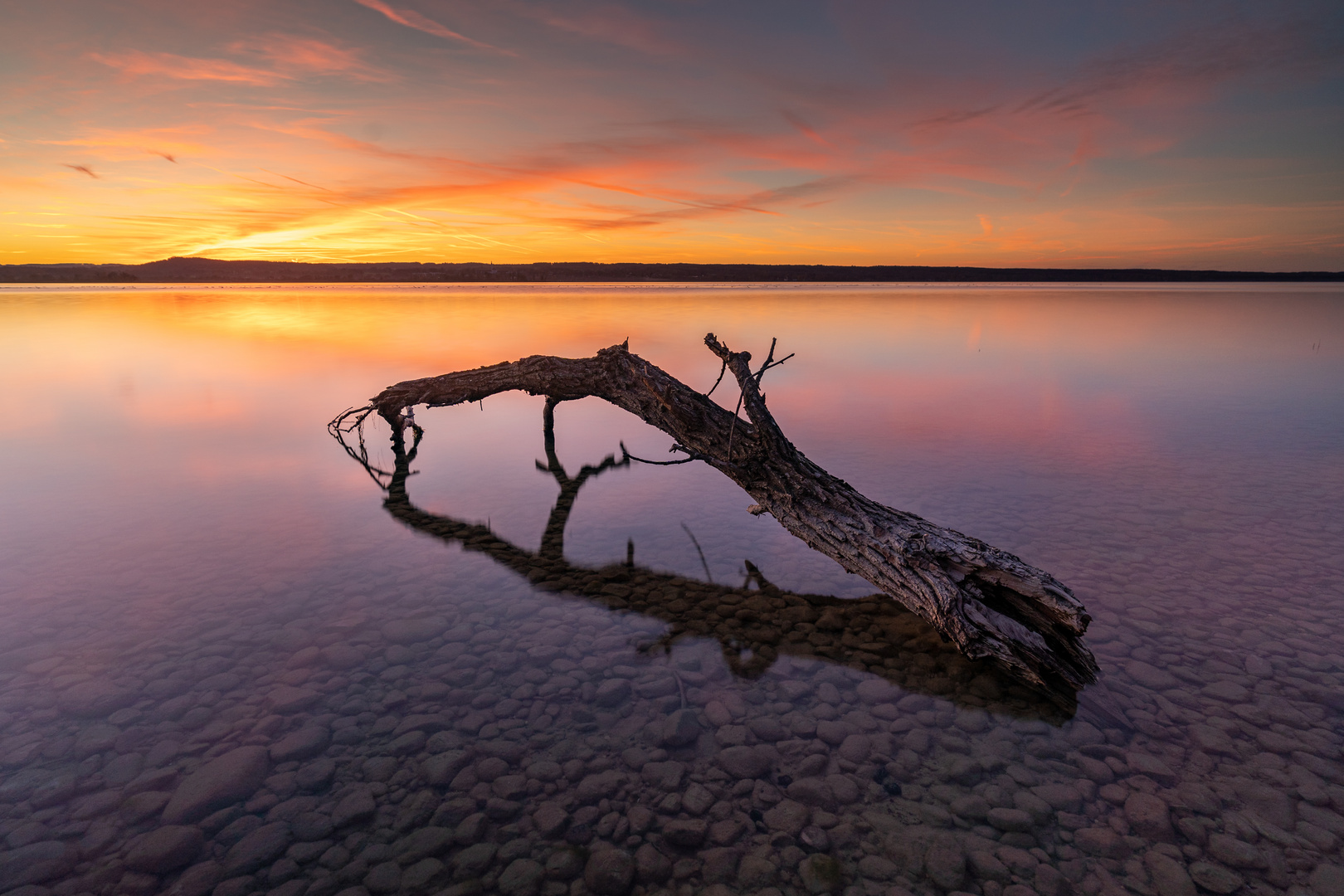 Der Baumstamm im See - mit Video