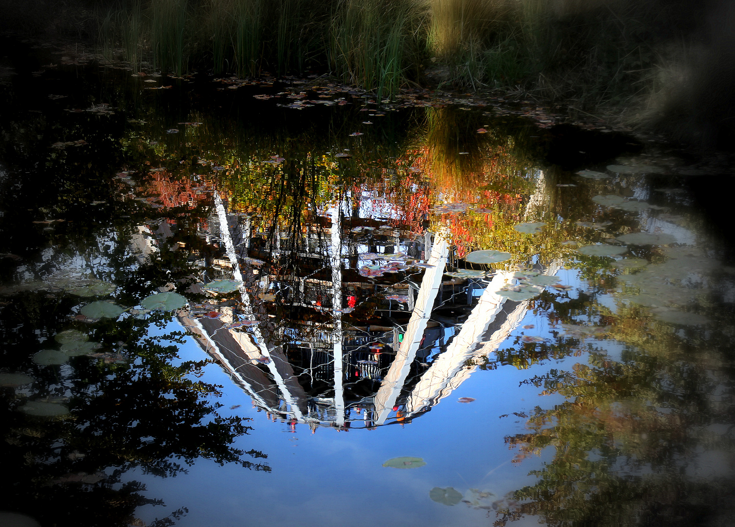 Der Baumwipfelpfad, Spiegelung des Aussichtsturmes