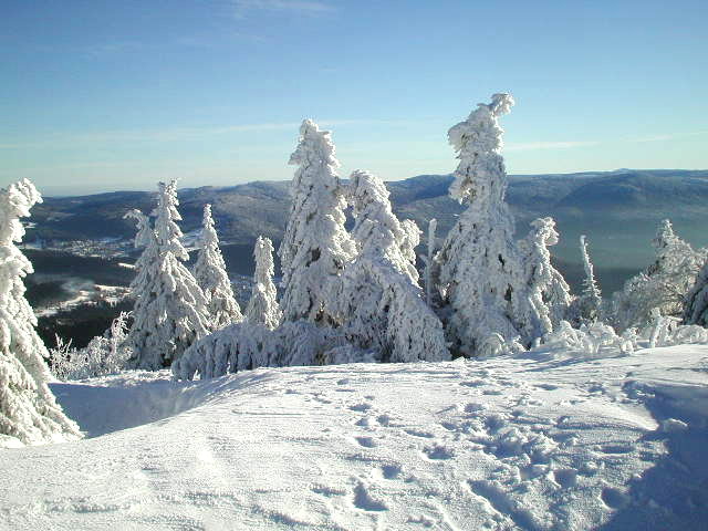 Der Bayerischer Wald im Winter /1