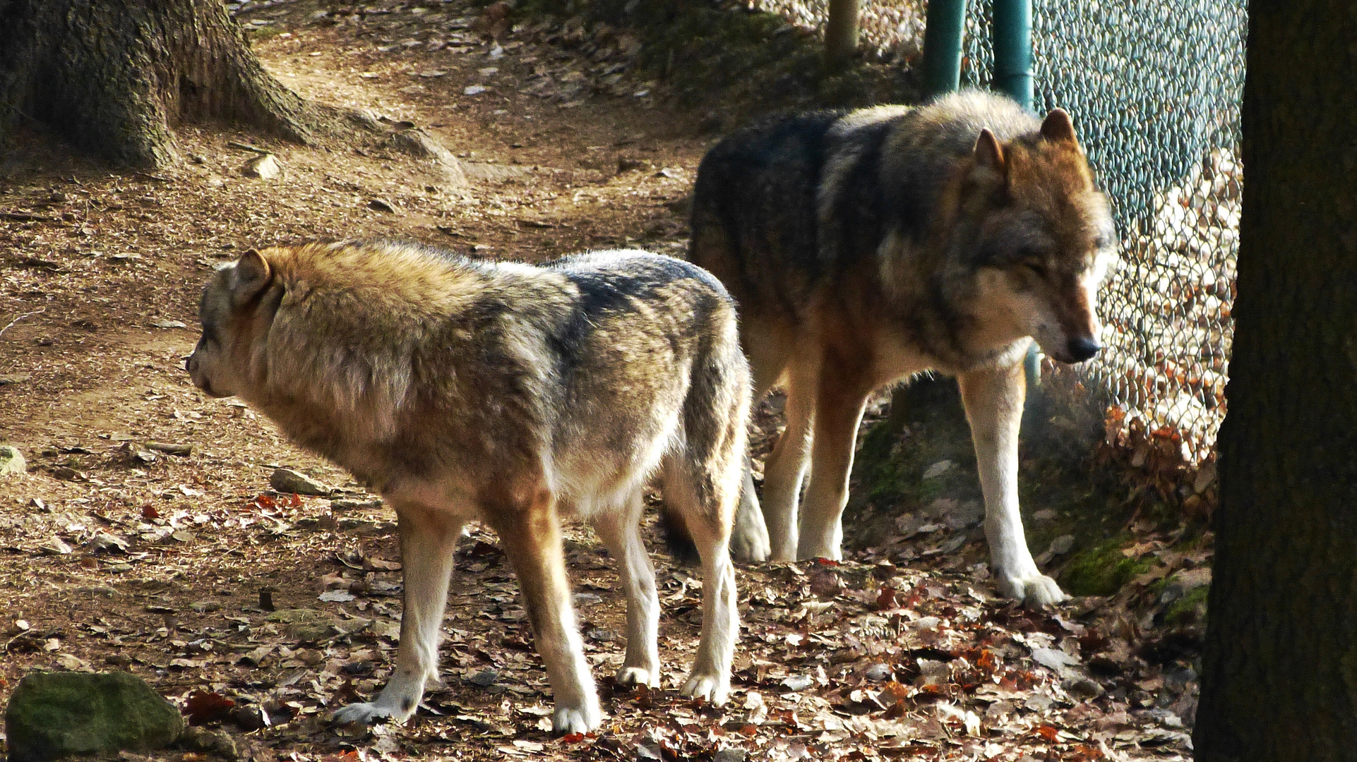 Der Bayerwald-Tierpark Lohberg  