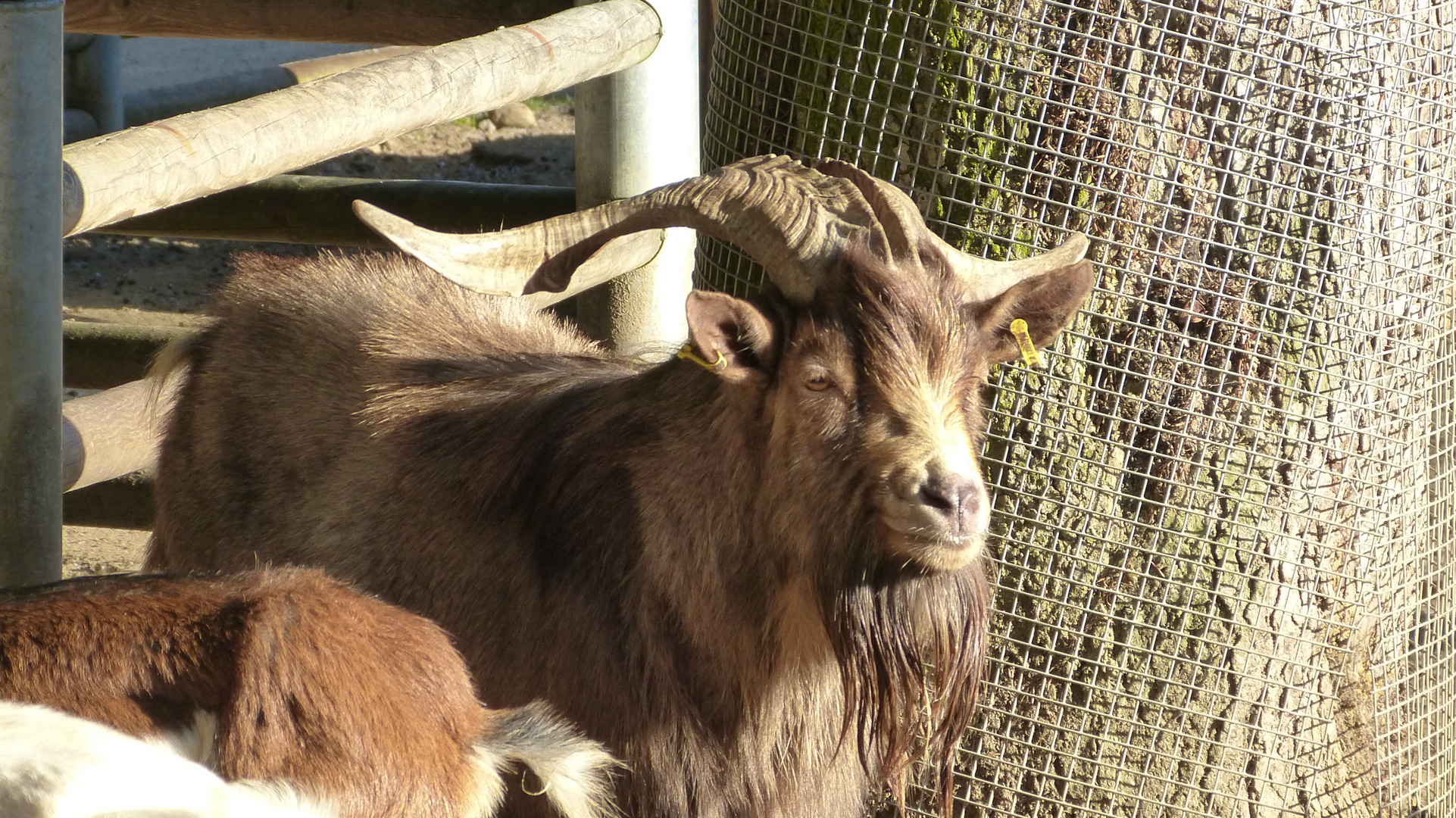 Der Bayerwald-Tierpark Lohberg 