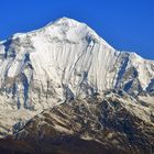 Der beeindruckende Dhaulagiri (8167 m) nochmals vom Poon Hill