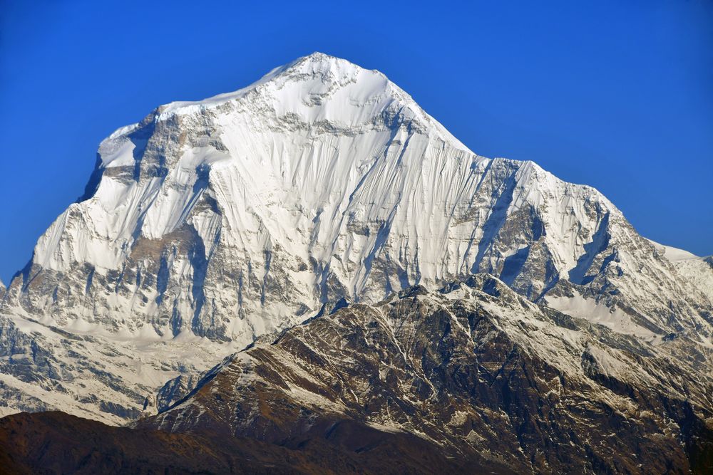 Der beeindruckende Dhaulagiri (8167 m) nochmals vom Poon Hill