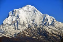 Der beeindruckende Dhaulagiri (8167 m) nochmals vom Poon Hill