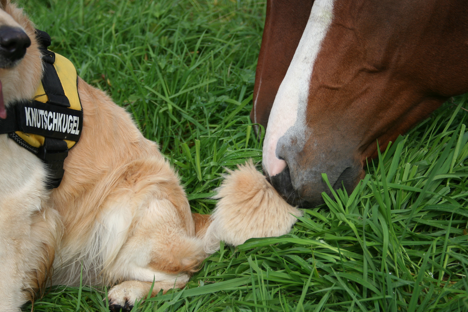 der Beginn einer Freundschaft...?