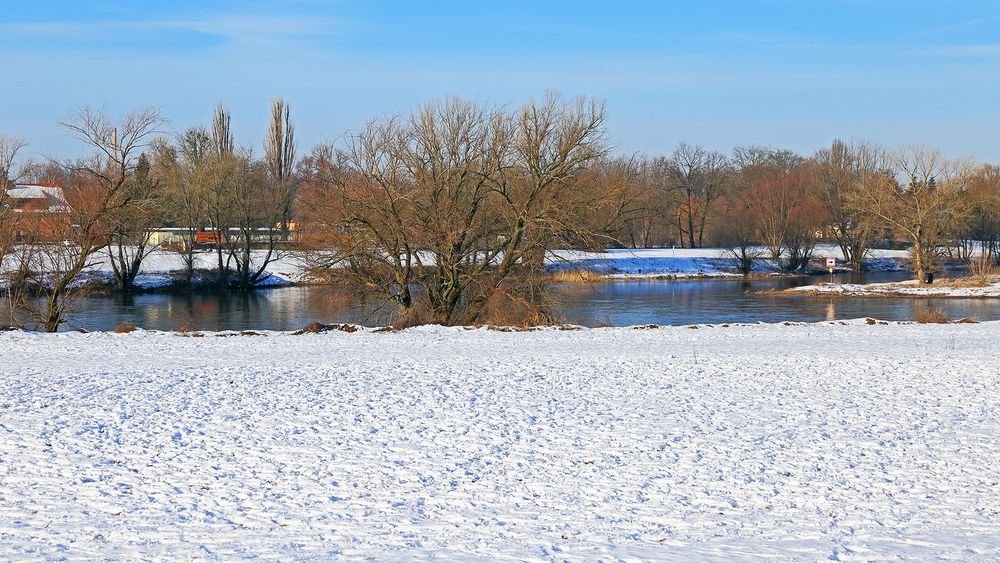 Der Beginn einer kleinen Insel in der Elbe bei Pillnitz...