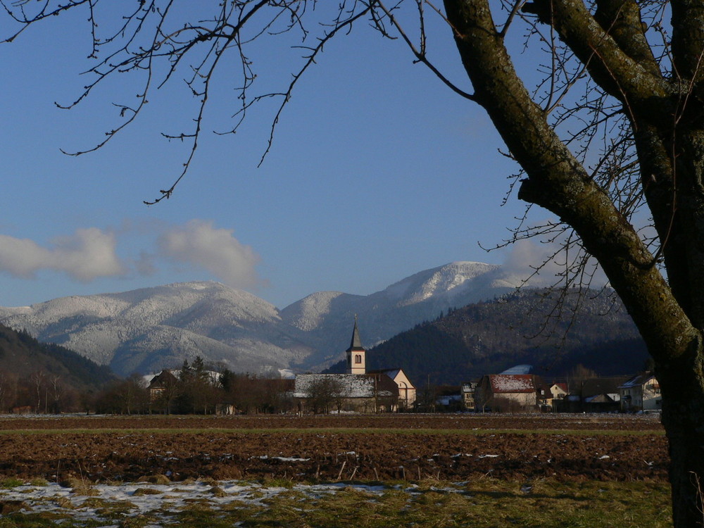 Der Belchen