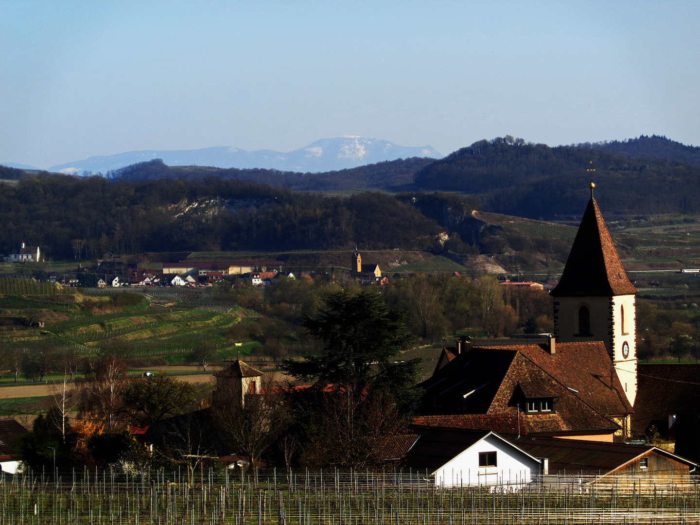 Der Belchen - vom Kaiserstuhl aus gesehen