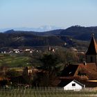 Der Belchen - vom Kaiserstuhl aus gesehen