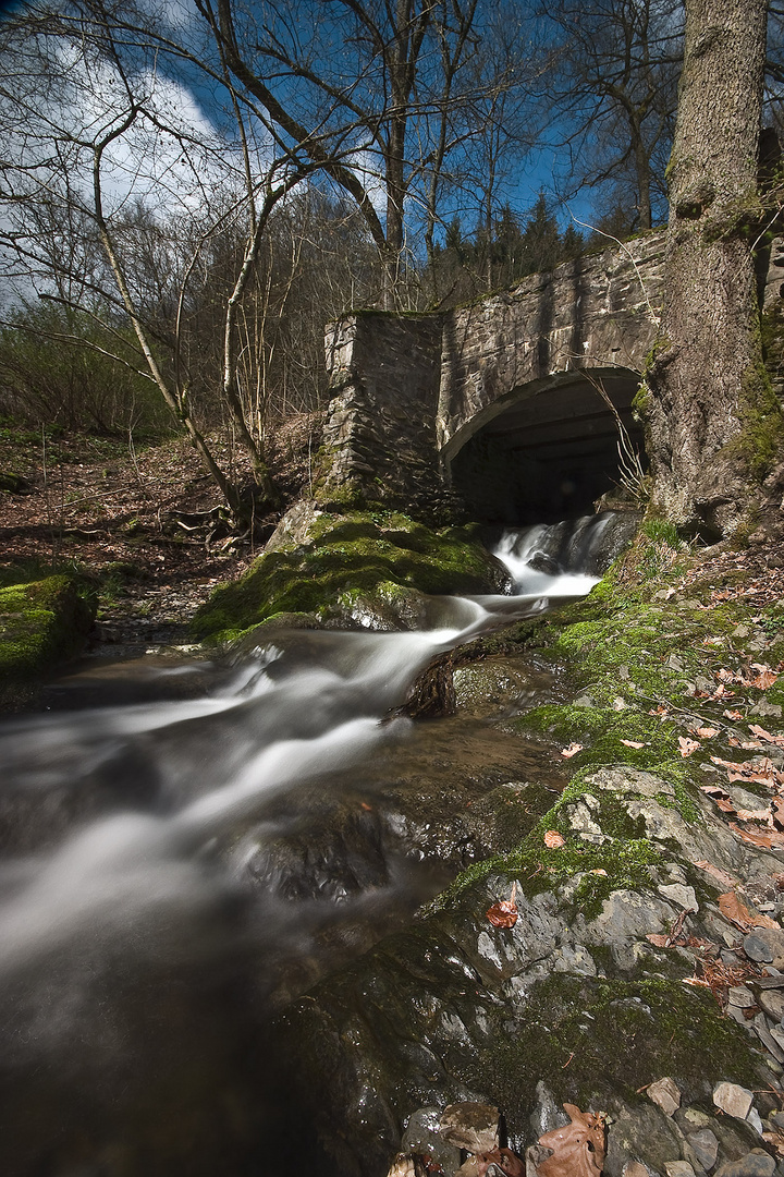 Der Belgenbach an der Mündung in die Rur