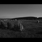 Der Beltany Stone Circle II....