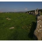 Der Beltany Stone Circle III....