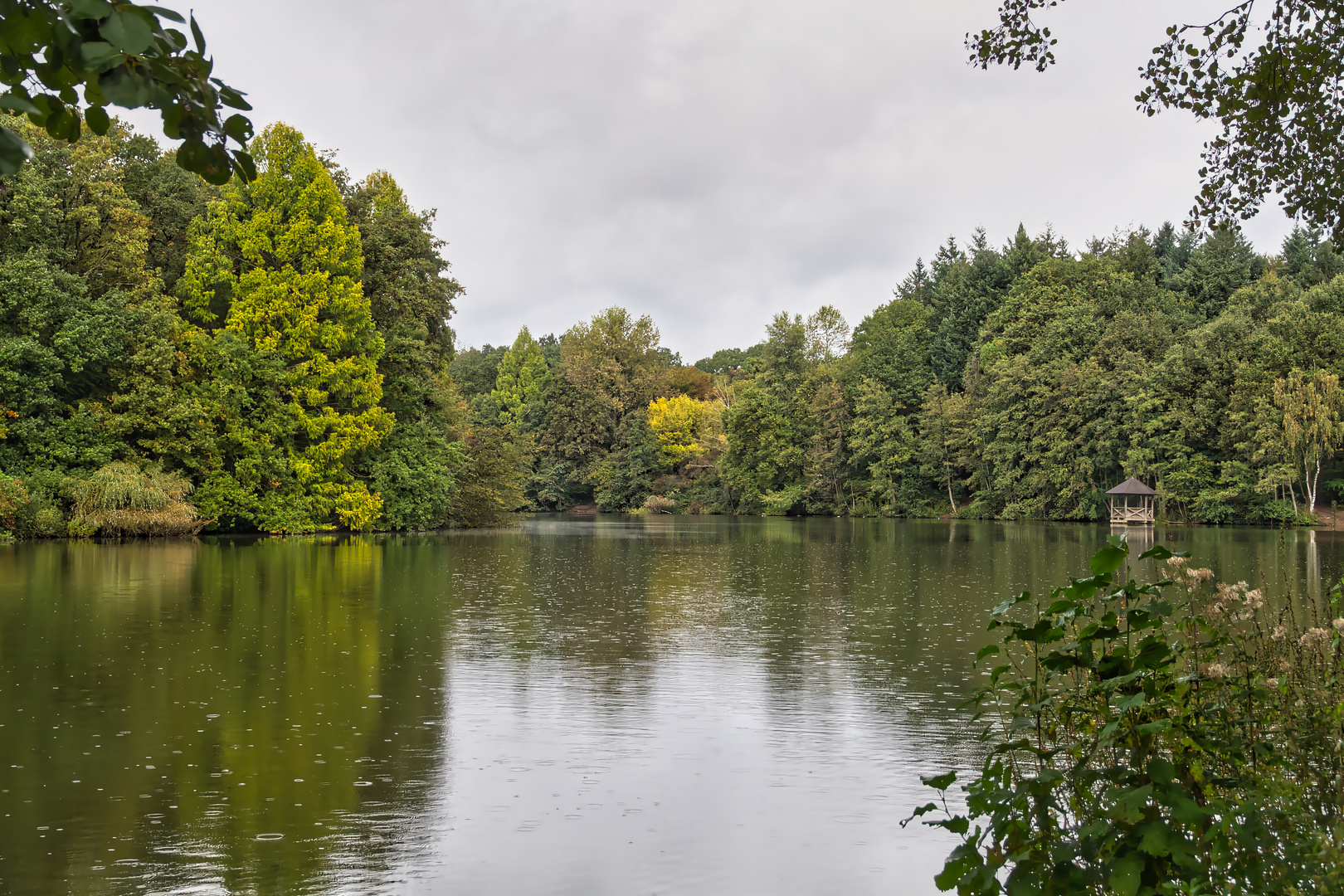 Der Bensberger See