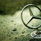 der Benz unter den Mercedesen