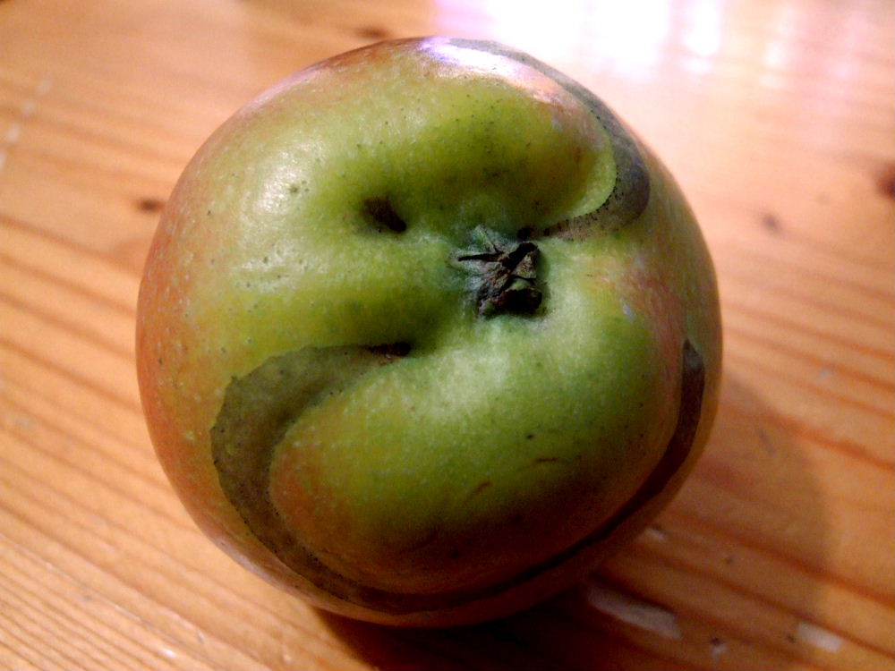 Der beondere Apfel