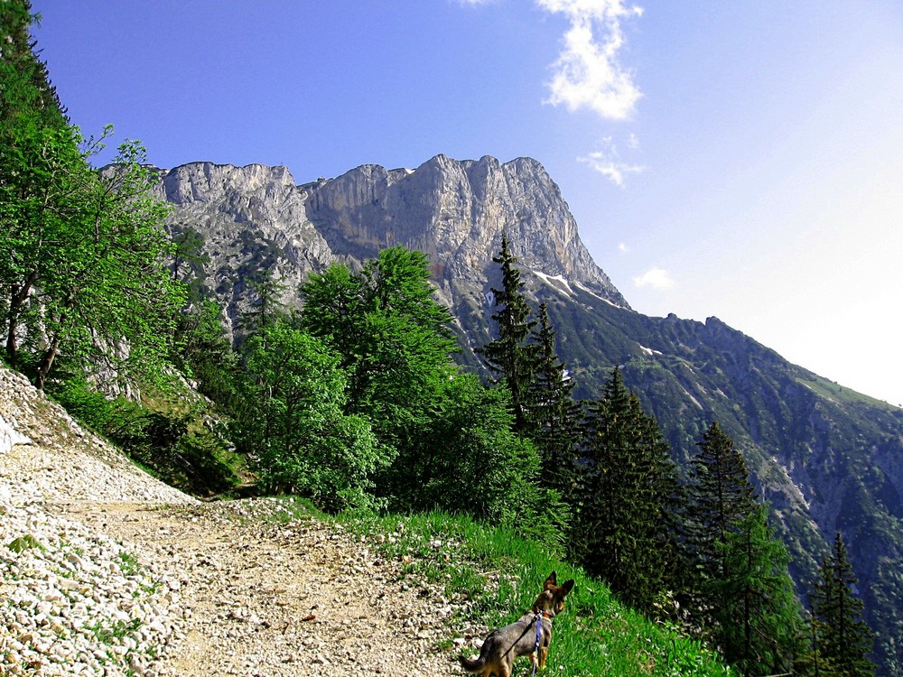 Der Berchtesgadener Hochthron