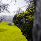 Der Berg am Baum