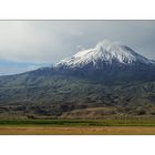 Der Berg Ararat