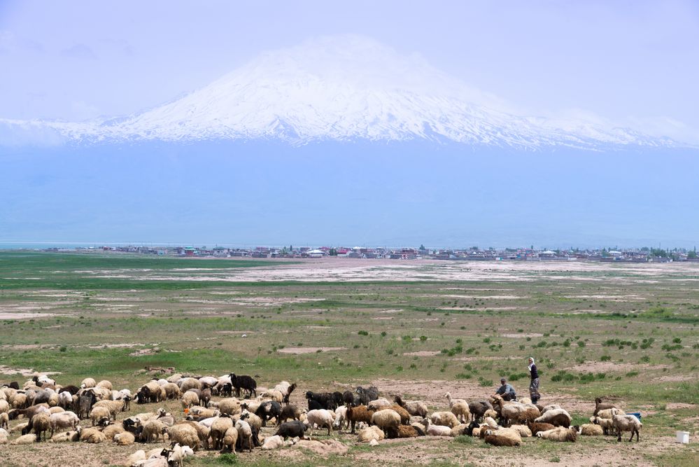 Der Berg Ararat