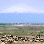 Der Berg Ararat