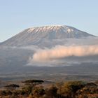 Der Berg der Berge Afrikas