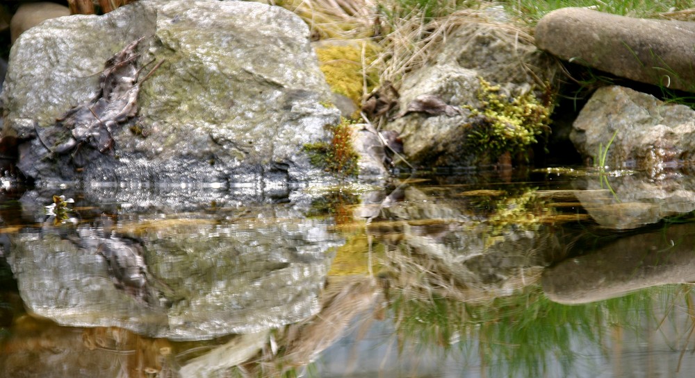 Der Berg im eigenen Garten!!!