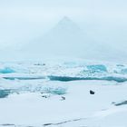 Der Berg im Nebel