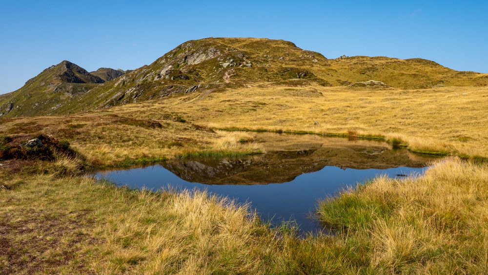 der Berg im Tümpel