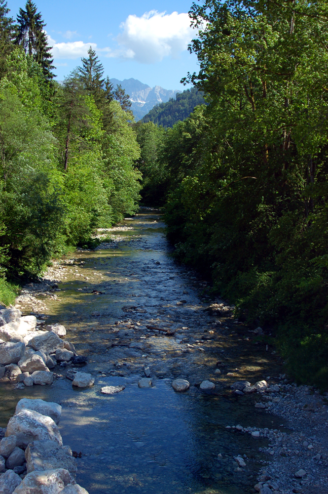 Der Bergbach am Wallberg