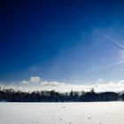 Der Berger See im Winter