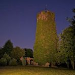 Der Bergfried auf der Veltheims..