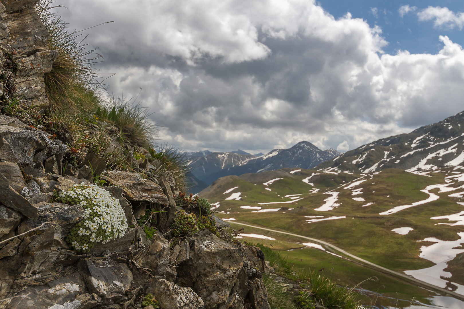 Der Bergfrühling