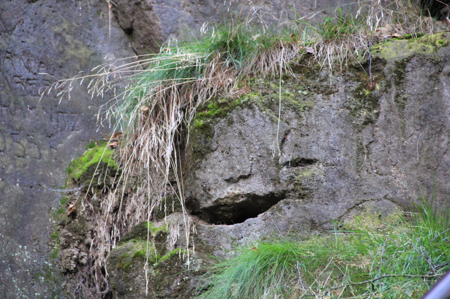 Der Berggeist vom Zirkelstein