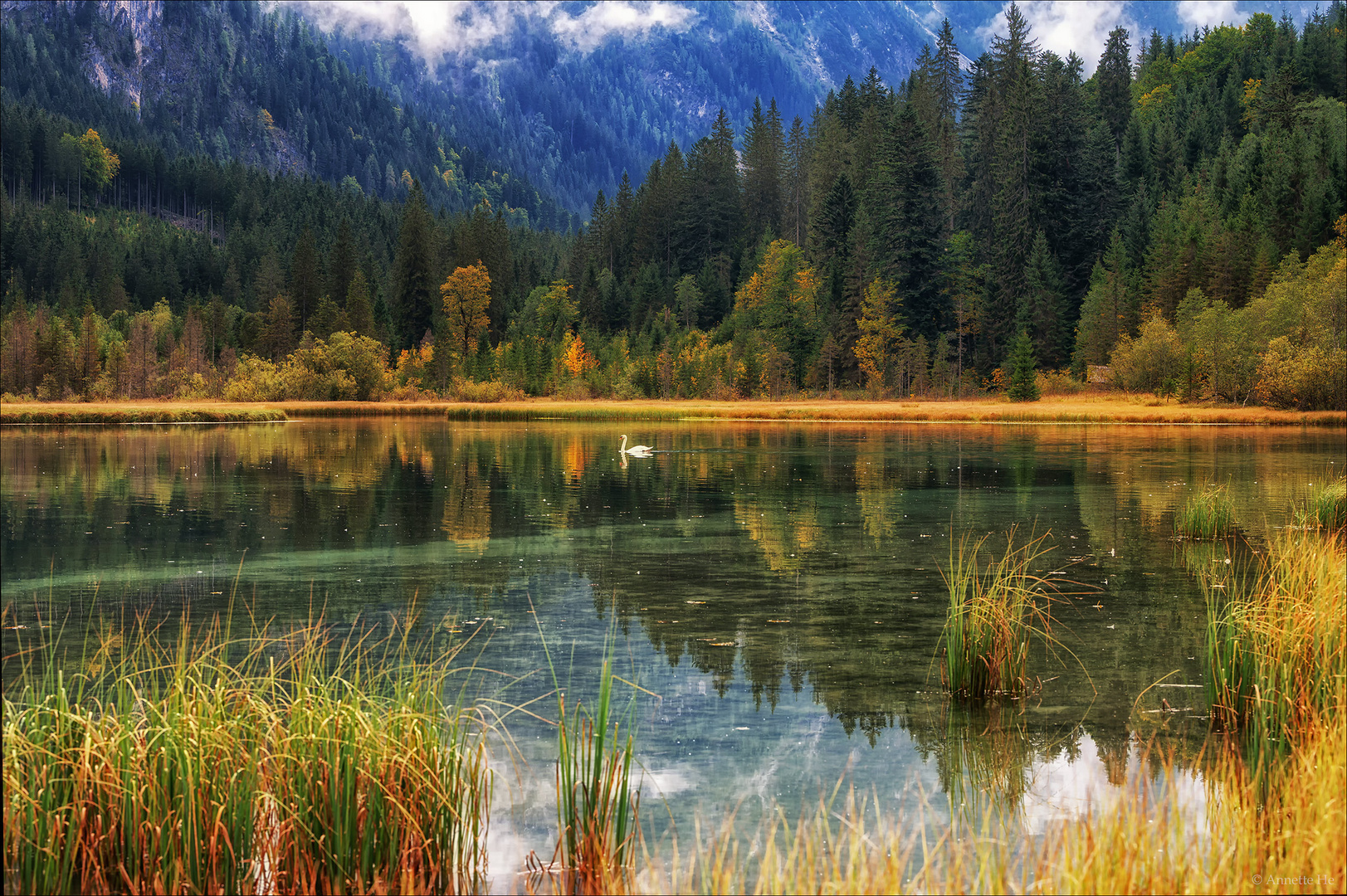 Der Bergsee