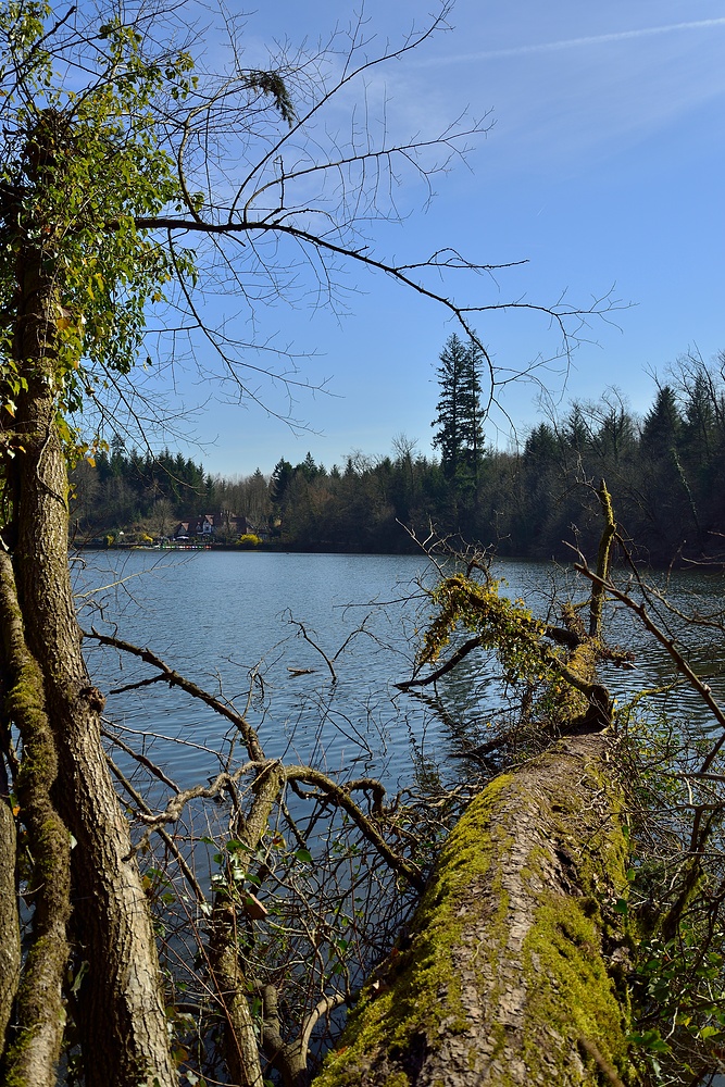 Der Bergsee