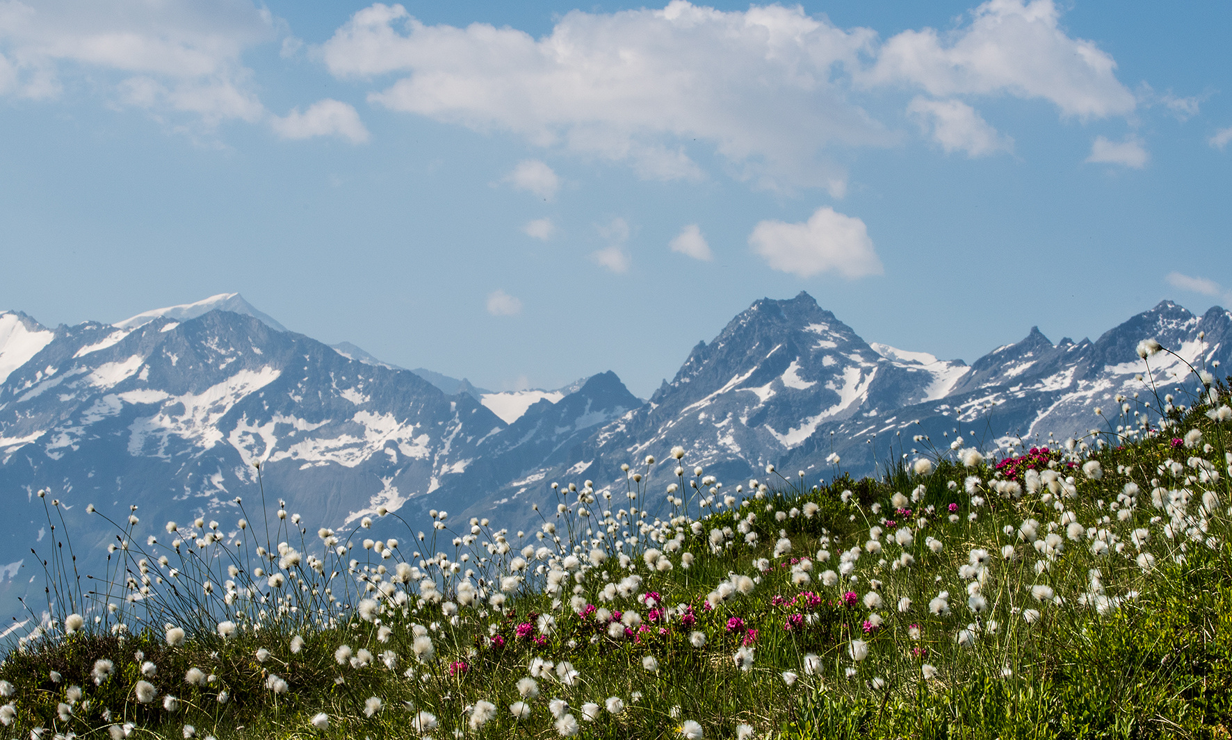 der Bergsommer beginnt