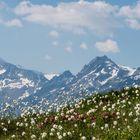 der Bergsommer beginnt