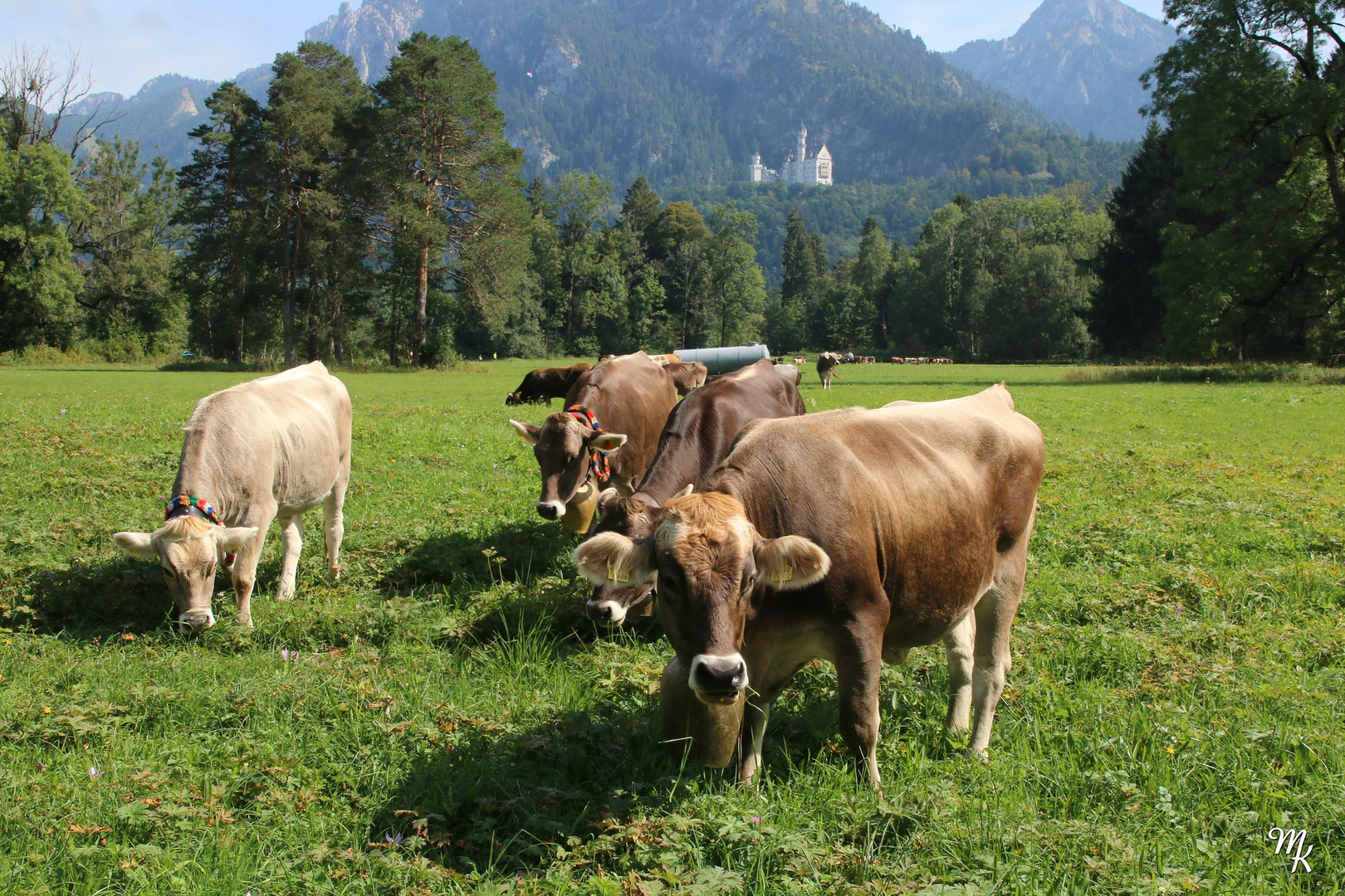 Der Bergsommer ist vorbei