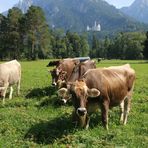 Der Bergsommer ist vorbei