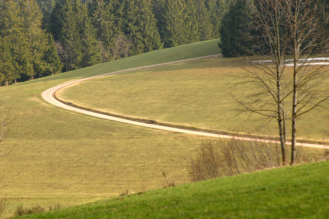 Der Bergweg