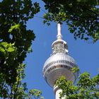 Der Berliner Fernsehturm- wie ein grüner Spargel ;-)