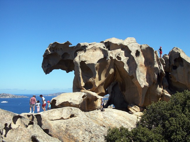 Der berühmte Bär von Sardinien