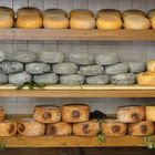 Der berühmte Pecorino von Pienza