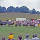 Der berühmte Rottaler Zehnerzug 1990