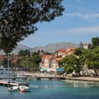 Der beschauliche Hafen von Cavtat in Süddalmatien