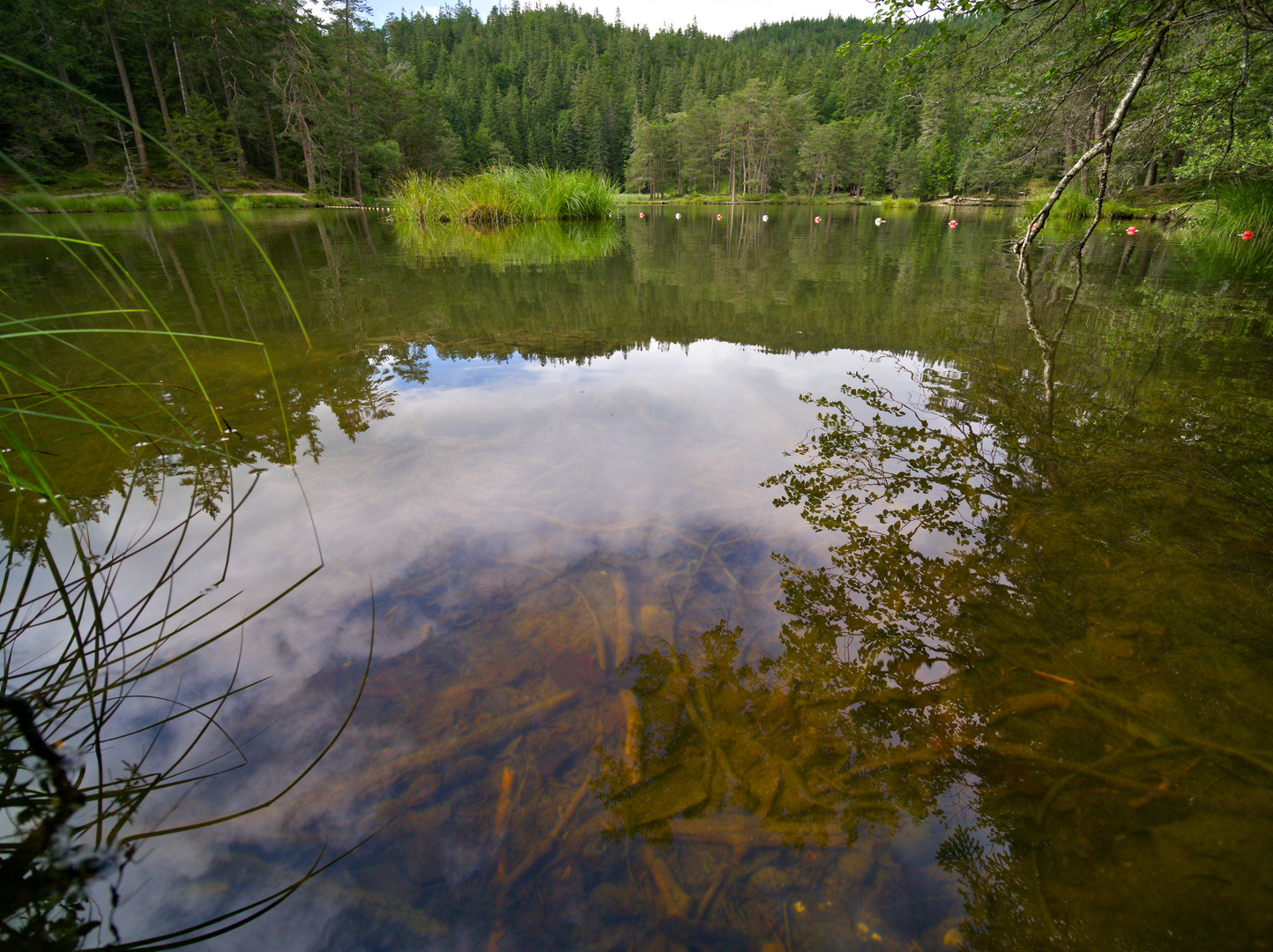 Der beschauliche Möserer See