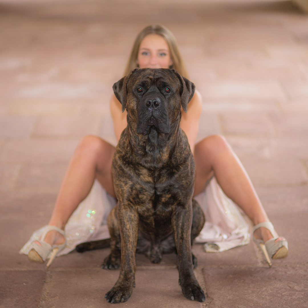 der Beschützer Foto & Bild tiere, haustiere, hunde Bilder auf