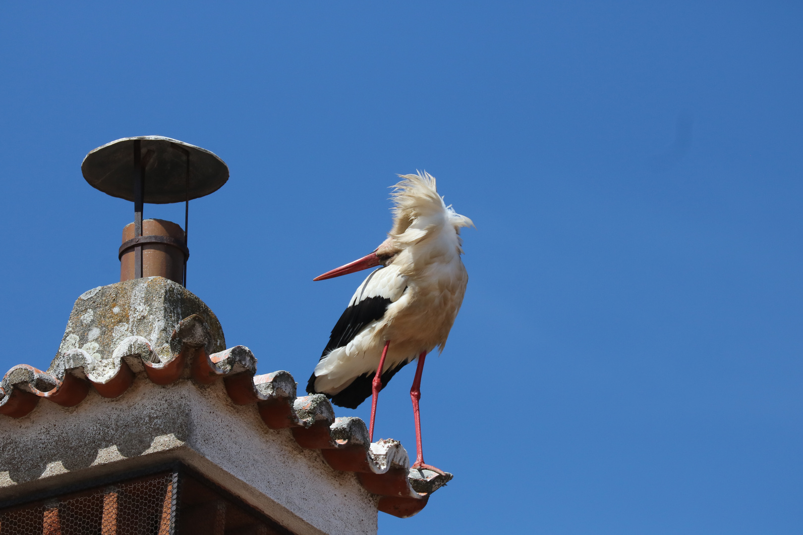 Der besondere Blick