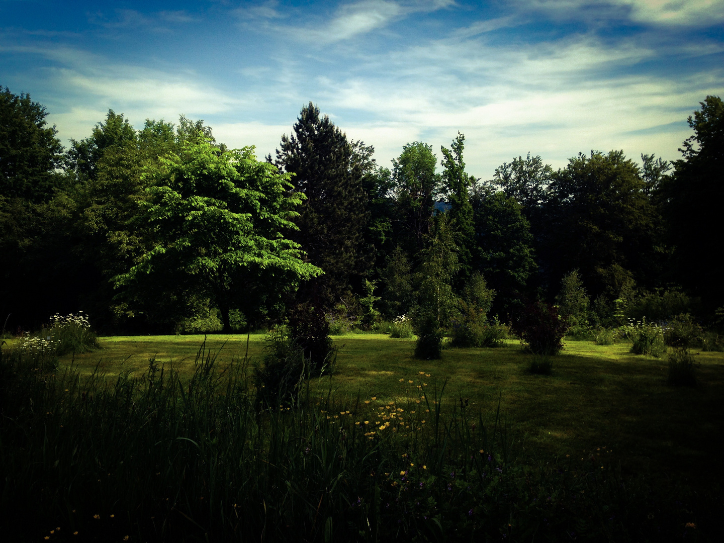 der besondere Park( anders bearbeitet)